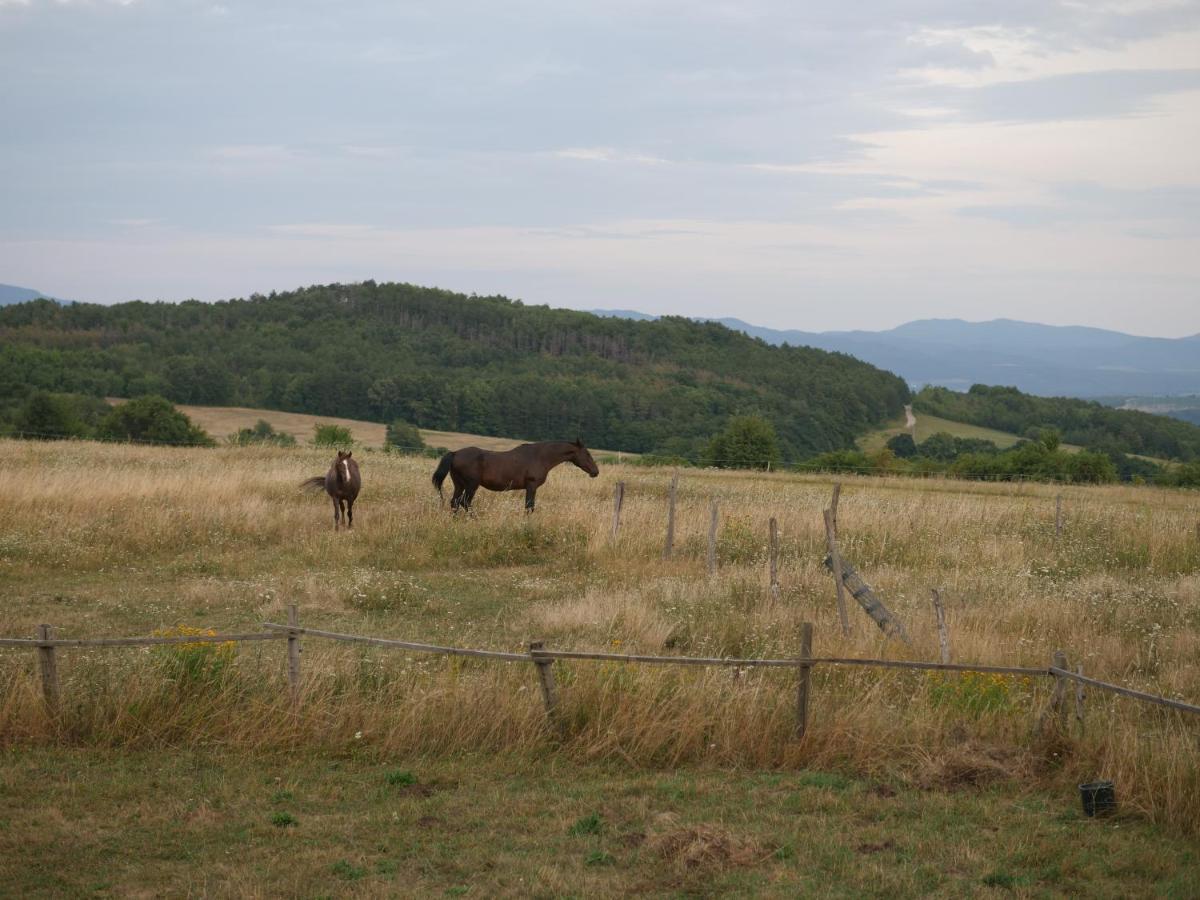 Hotel Selanka Off Road Hill View Moravske Lieskove Zewnętrze zdjęcie